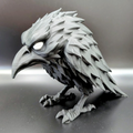 Shadow Raven
